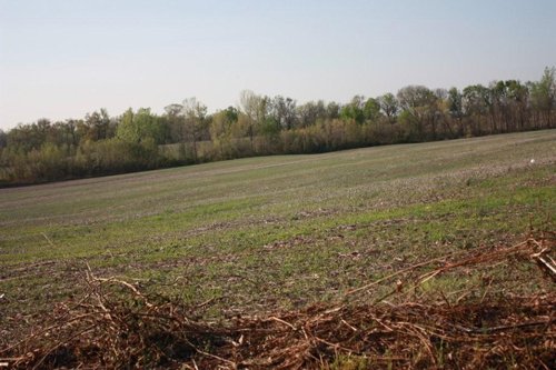 Property photo 4 - 641 Acres Offered in 16 Tracts - 545 Cropland Acres